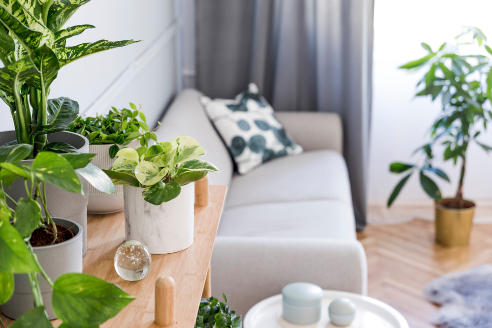 Apartment Trends We’ll See in 2021