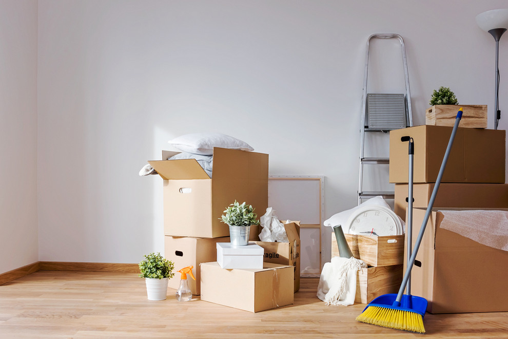 8 Must-Haves for New Apartments