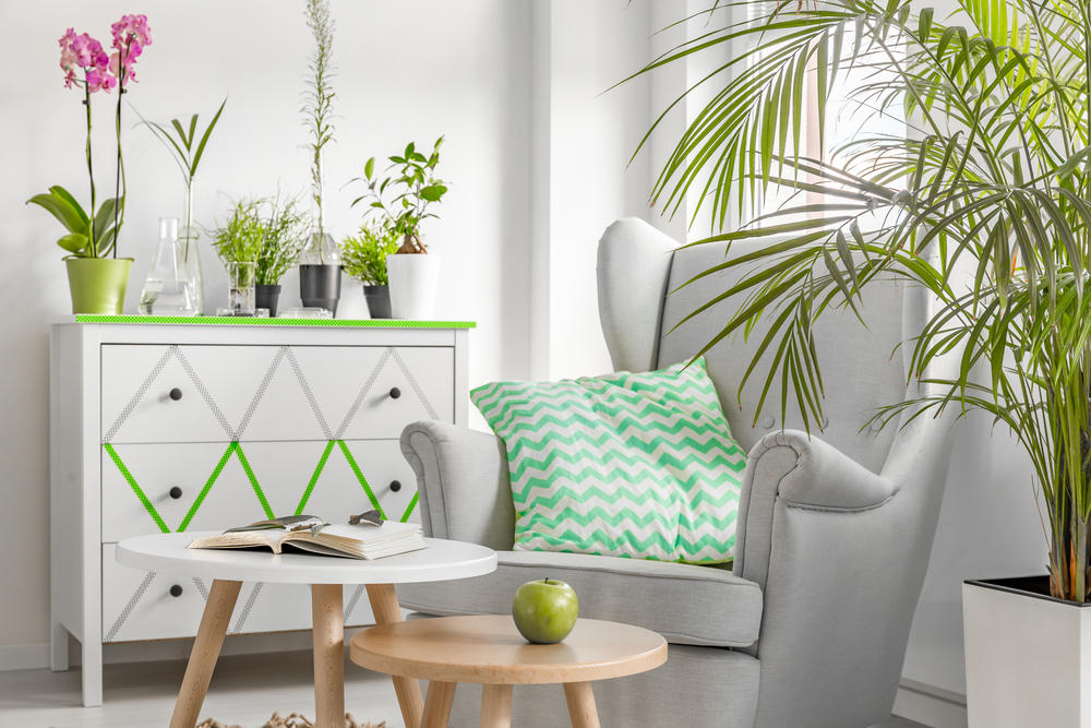 Apartment decorated with Plants & Flowers5 Summer Decorating Tips for Your Apartment