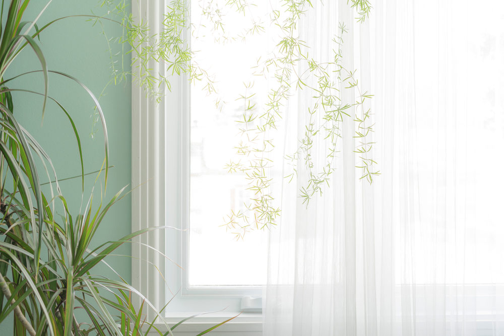 Light white curtains